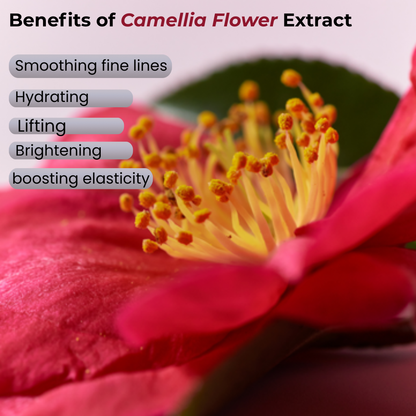 Collagen Lifting V Mask